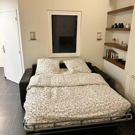 Appartement Douillet *